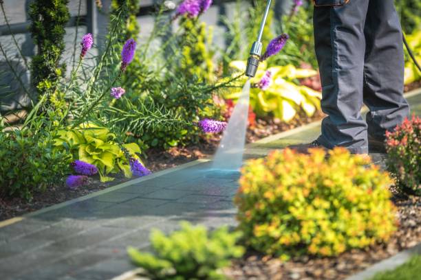 Best Driveway Pressure Washing  in Tatum, TX
